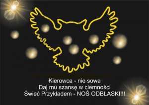 Odblaskowy wizerunek sowy z napisem Kierowca - nie sowa. Daj mu szansę w ciemności