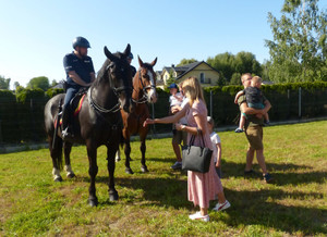 Policjanci na koniach podczas pikniku