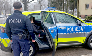 Policjant przy radiowozie, w którym siedzi zatrzymany mężczyzna