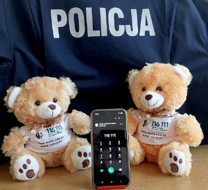 Misie na tle munduru policjanta